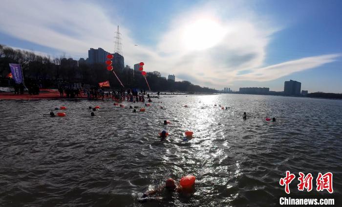 东北三省泳者汇聚吉林挑